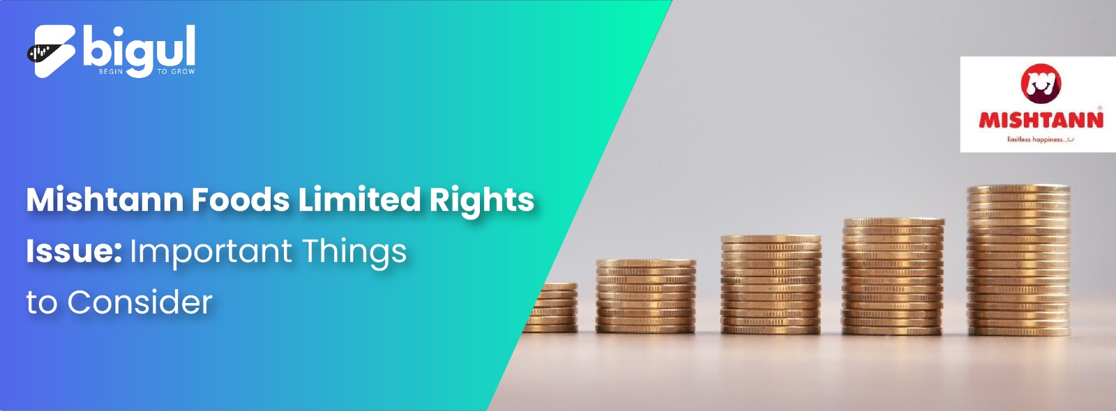 Mishtann Foods Limited Rights Issue: Important Things to Consider